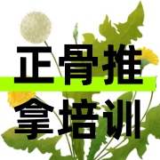 中医正骨推拿培训中心