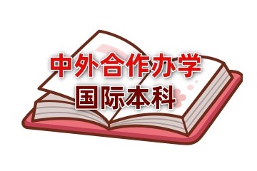 中外合作办学留学正规辅导机构名单一览