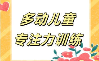 金华儿童专注力培训班哪家机构实力强